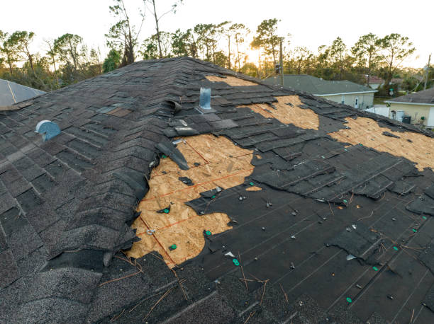 Best Cold Roofs  in Sewalls Point, FL